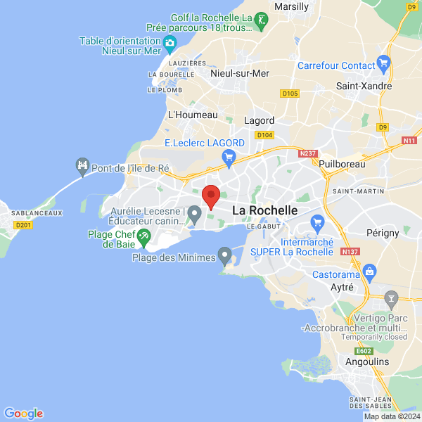 google map