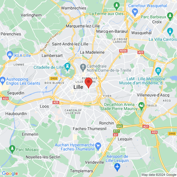 google map