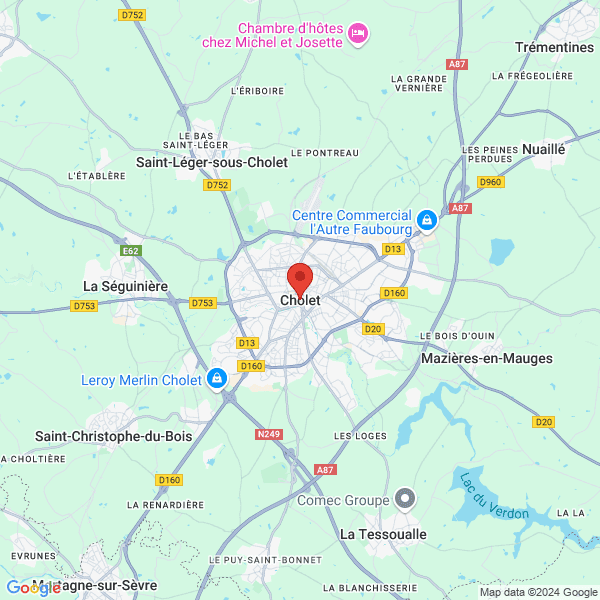 google map