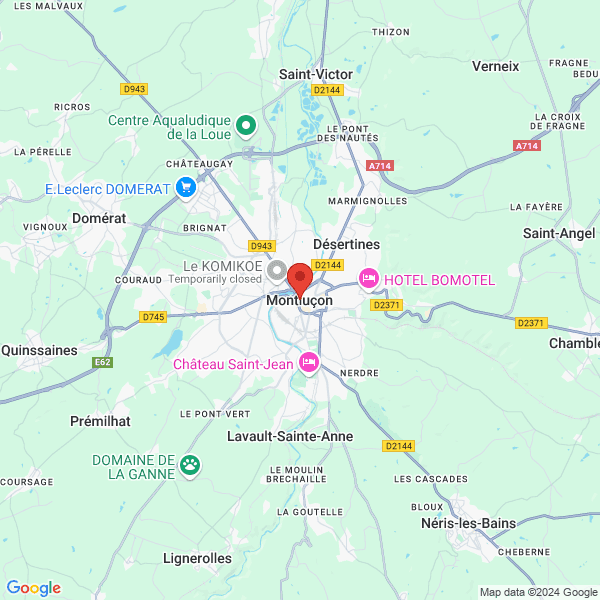 google map