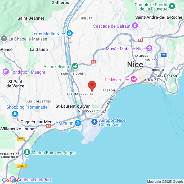 Nice - Google map