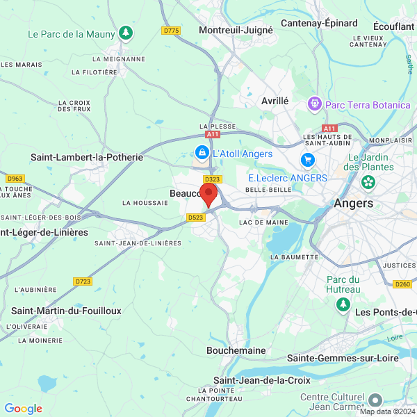 google map