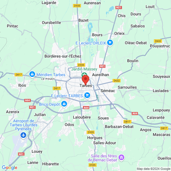 google map