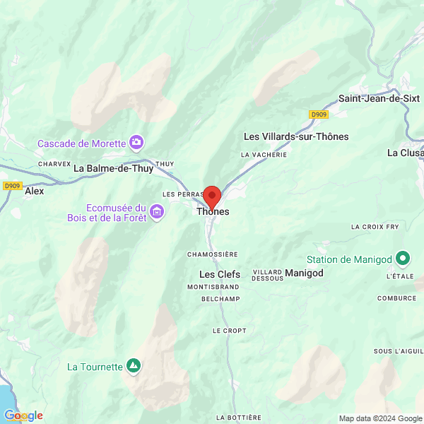 google map